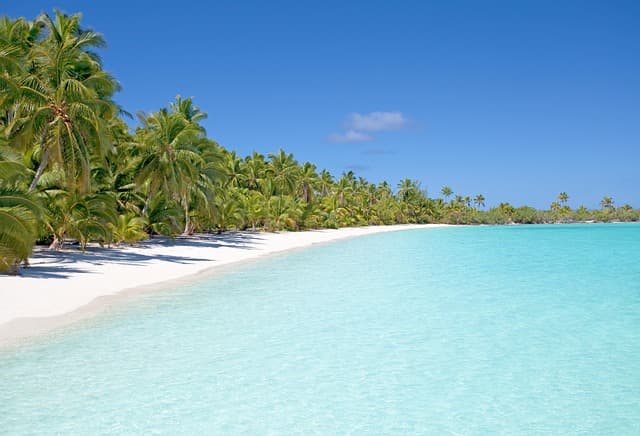 Tropical Beach Paradise