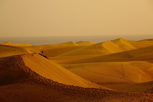 Desert Landscape at Sunset